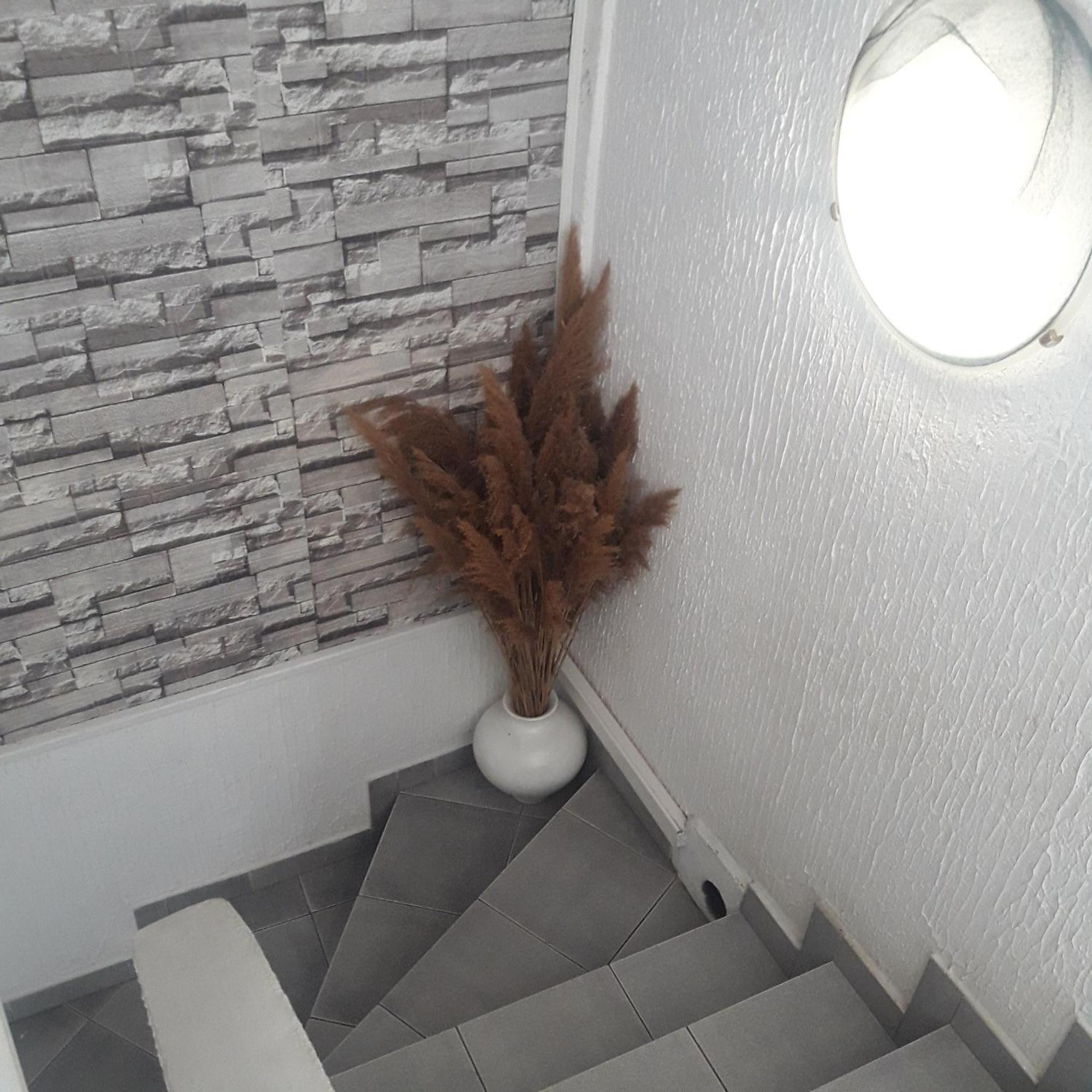 Apartmani Nis Exterior foto